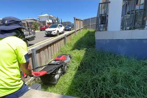 OMG He's using a Battery Push Mower on this OVERGROWN Clean Up!