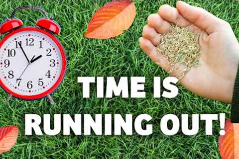 Can You Still OVERSEED?  Watch Before It's Too LATE!!