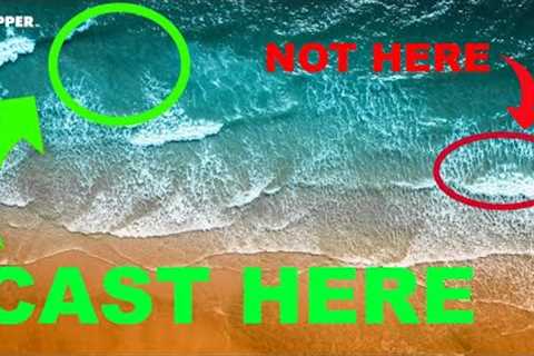 EVERYTHING You NEED To Know to ALWAYS Catch Fish! (Beginners Guide to Beach Fishing)