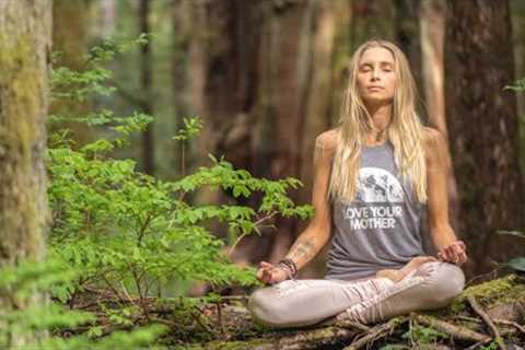 15 Minute Guided Meditation | Strength &amp; Grounding In Stressful Times