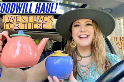THEY WERE WORTH EVERY CENT! | Goodwill Haul | Thrift With Me | Thrift Haul