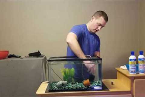 How to set up a fish tank.