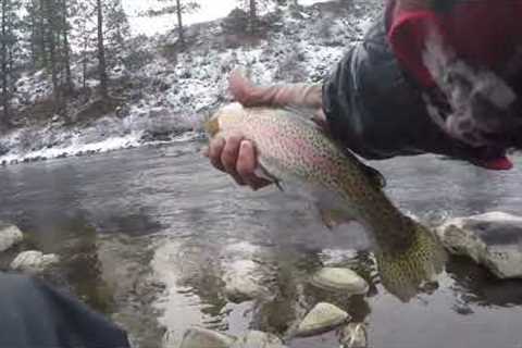 Fly Fishing the Truckee River Before the Snow Starts to Fall (CA)