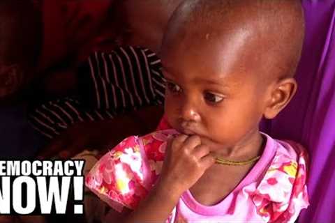 Food Shortage or Economic Crisis? Experts Say Poverty &amp; Capitalism Are Real Drivers of Global..