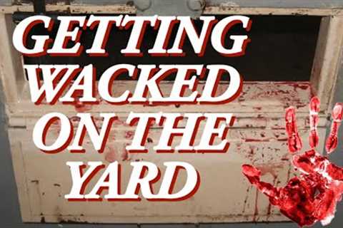 WHY NORTENOS DO REMOVALS AND GET CAUGHT ON THE PRISON YARD…SNY REMOVALS#crimestory #trending