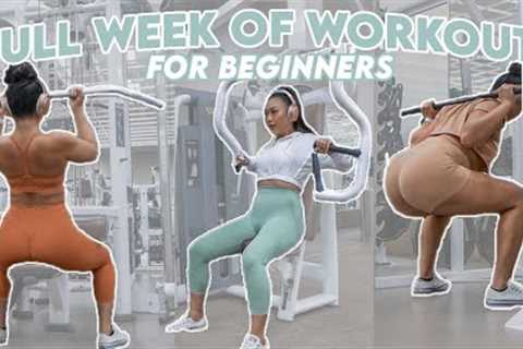 FULL WEEK OF WORKOUTS FOR BEGINNERS AT THE GYM