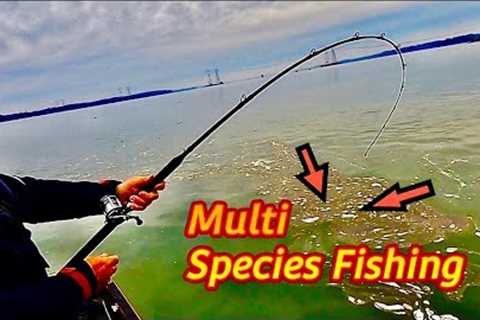 A fishing BAIT that catches MULTIPLE SPECIES of FISH for FUN or DINNER on ANY LAKE !!!
