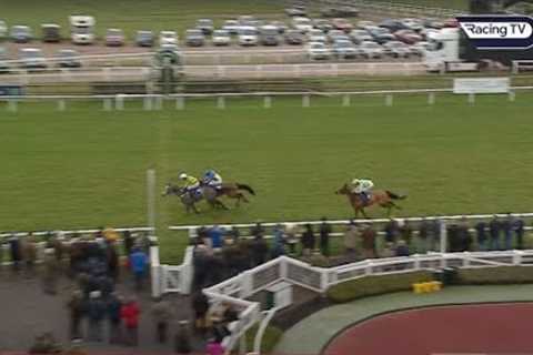 €235,000 purchase JOYEUSE impresses on British debut
