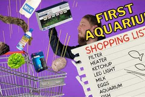 Everything you need for an Aquarium! (Beginner's series)