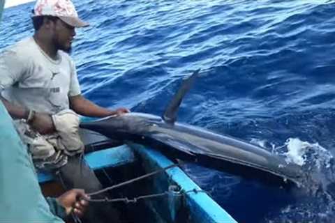 Blue Marlin Fishing Catching fish in Indian Ocean Handline Fishing