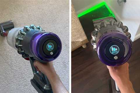 The Dyson Outsize plus eliminates pet hair from every corner of my house