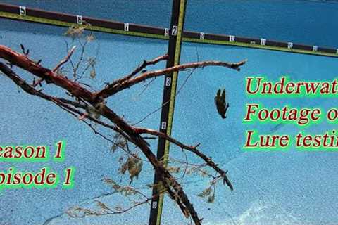 LURE TESTING!  LEARN and SEE what your lures do UNDERWATER to help you become a better angler!