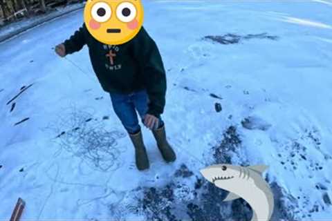 2024 Ice Fishing at the Buck Bus: Catching Togue (Lake Trout) on Thin Ice. #icefishing #laketrout