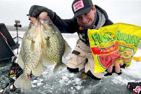 Funyun Fish Catch &amp; Cook! (Ice Fishing 2024)