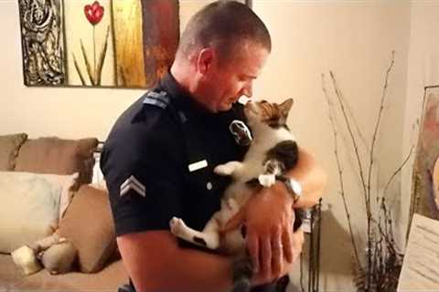 I Can No Longer Imagine Life Without a Cat -  Cute Cats and Owners Videos