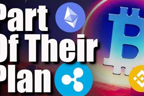This 2024 Bitcoin Prediction IS INSANE, HUGE Shiba Inu Burn, &amp; Don't Sell Your Coins To..