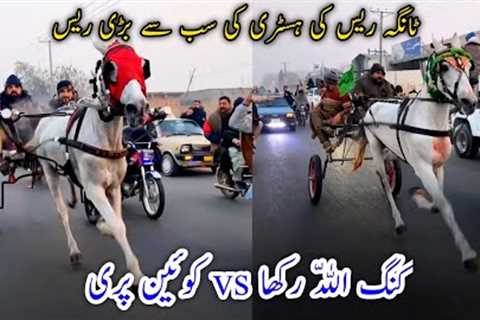 Tanga Race|| King Allah Rakha Vs Queen Pari Horse Race || Biggest Race in the History Of Tanga Race