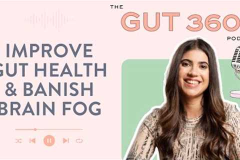 How To Improve Your Gut Health and BANISH BRAIN FOG in 5 Steps -The Gut 360 Podcast Ep3. Eli Brecher