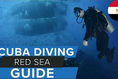 Red Sea Scuba Diving Guide w/ @MasterLiveaboards #scuba #redsea