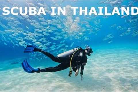 Scuba Diving In Thailand | Scuba In Krabi | Phi phi Island | Thailand Vlog