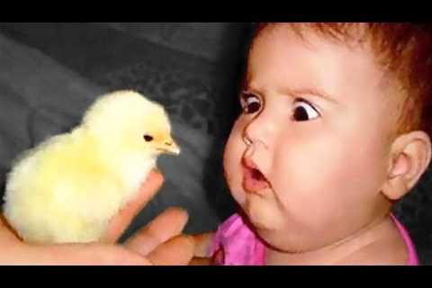 🔴 [LIVE] A MUST - 30 minutes TRENDING Best Cute Baby and Animals (Funny Baby) 🐤🐥🐣 || Cool Peachy