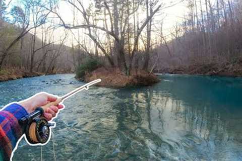 Winter Fly Fishing in NC for BIG Trout (NC Trout Fishing)