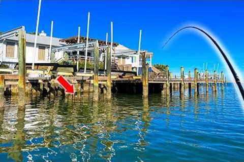 THIS is Why You Fish OLD Saltwater Docks!! (CATCH &amp; COOK)