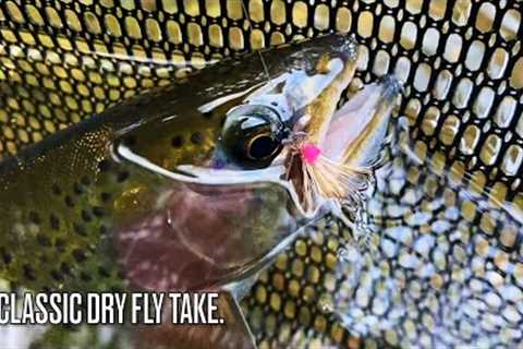 Simplifying Fly Selection (Fly Fishing) Part 1: Truth Bombs