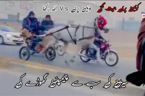 Queen Pari Vs Allah Rakha Horse Race 10/01/2024 | Tanga Race | #shughalmela #horse #race
