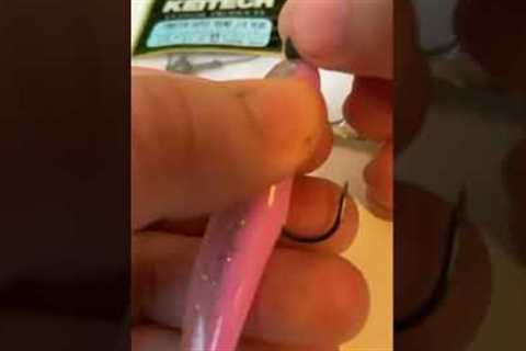 Fishing Tips: Rigging a soft plastic lure on a jighead