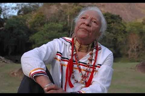 Native American Insights on Healing By Vernon Foster