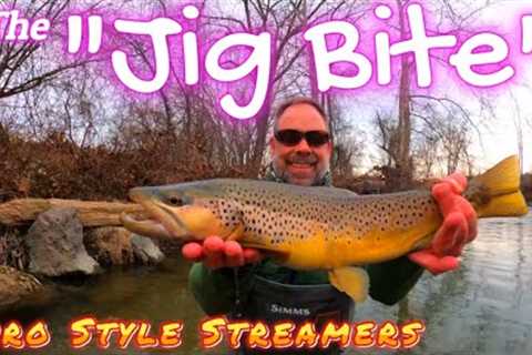 Euro Nymphing With Streamers | Winter Fly Fishing Tactics For BIG TROUT