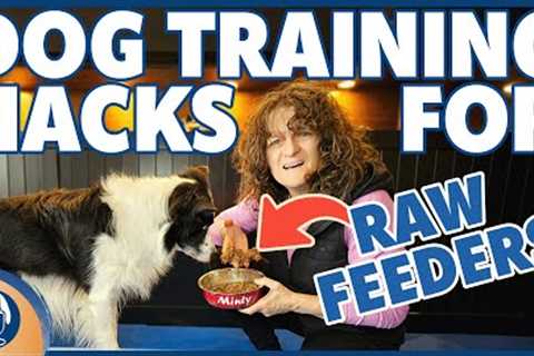 The Raw Feeding Guide To Training Your Dog With All Forms Of Treats #252 #podcast