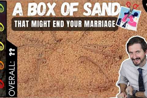 Six-Eyed Sand Spider, The Best Pet Arachnid?