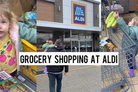 She Found Something She Loves At The End! Come With Us On A Grocery Shopping Trip To Aldi