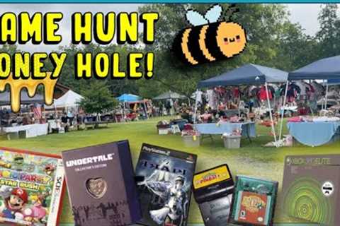 This Community Yard Sale Was The Bees Knees! 🐝 🐝|| YouTube Retro Video Game Hunting!