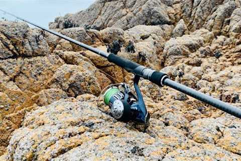 WHICH RODS DO I USE | TACKLE TALK | WHEN, WHY, WHERE | LURE FISHING FOR BASS | A BEGINNERS GUIDE