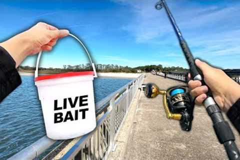 Eating Whatever I Catch.. Bridge BEAST! (Catch and Cook)