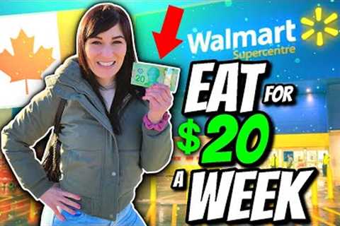 HOW TO EAT FOR $20 A WEEK IN CANADA | Emergency Extreme Budget Grocery Haul 2023