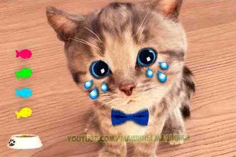 Little Kitten Preschool Adventure Educational Games -Play Fun Cute Kitten Pet Care Learning Gameplay