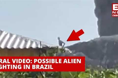Viral Video | 'Alien' Spotted In Brazil? What We Know About The Incident | World News