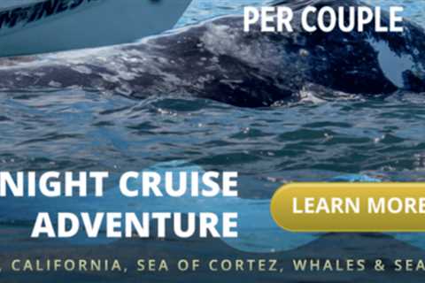 UnCruise offers new inaugural expeditions at unbeatable savings