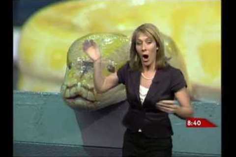 Classic on-air bloopers from Global News meteorologist