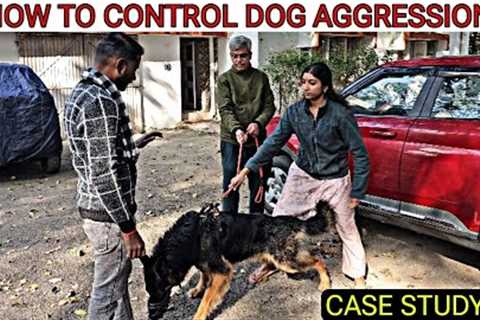 Aggressive Dog Case Study : Learn how to manage Dog Aggression with simple methods (Hindi)