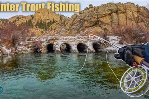 Fly Fishing Harsh Conditions For Trout!! (First Fish of 2024)