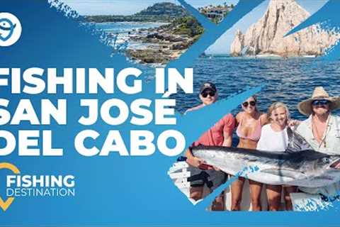 San José Del Cabo Fishing: A Quick Guide