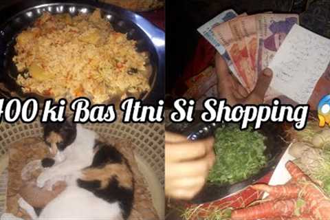Grocery Shopping | Daily Vlog | Daily Routine | by @GulnaazKiDuniya