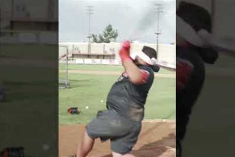 Could you hit a home run blindfolded? #mlb #homerun #sports #baseball #batflip