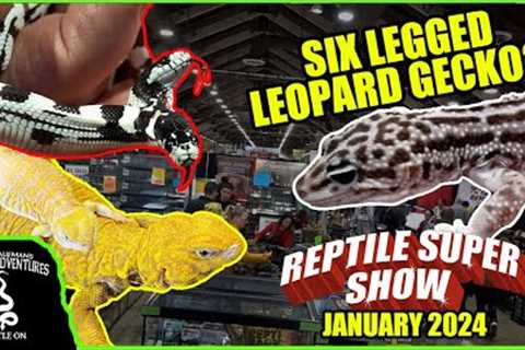 ODDEST REPTILES AT THE POMONA REPTILE SUPER SHOW (January 2024)