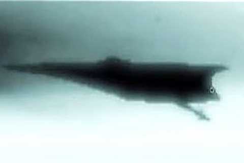 This Huge Object Just Set Off Earth's Defence System After It Was Seen Entering Our Solar System